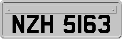 NZH5163