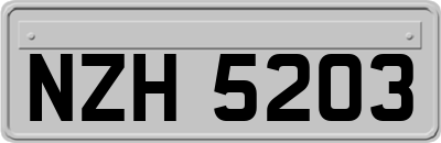 NZH5203