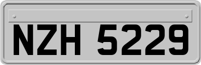 NZH5229