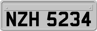 NZH5234