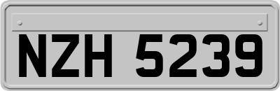 NZH5239