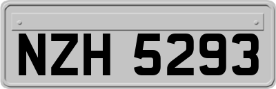 NZH5293