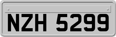 NZH5299