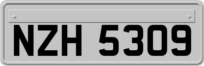 NZH5309