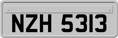NZH5313