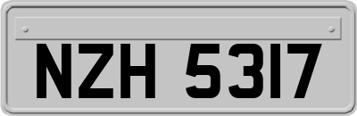 NZH5317
