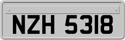 NZH5318