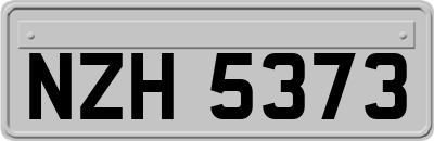 NZH5373
