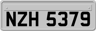NZH5379