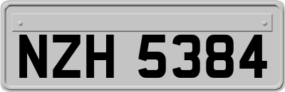 NZH5384