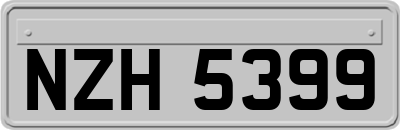 NZH5399