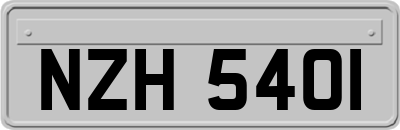 NZH5401