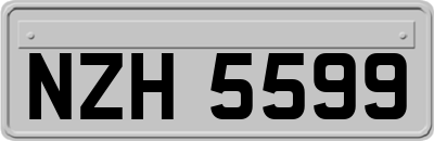 NZH5599