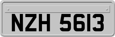 NZH5613