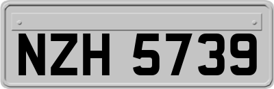 NZH5739
