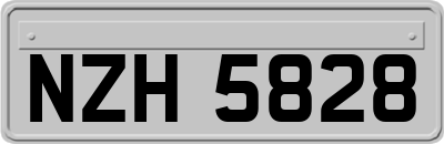 NZH5828