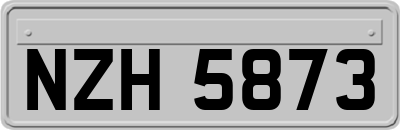 NZH5873