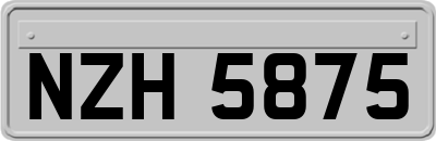 NZH5875