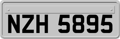 NZH5895