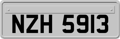 NZH5913