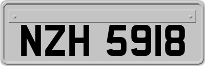 NZH5918