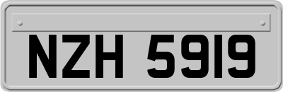 NZH5919