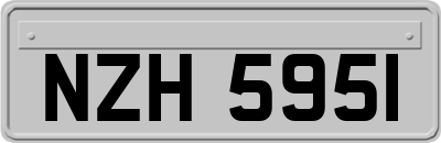 NZH5951