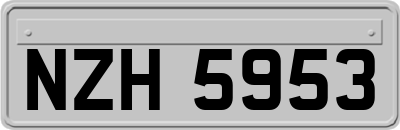 NZH5953