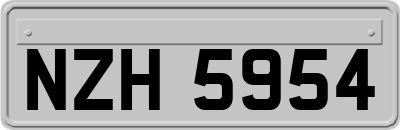 NZH5954