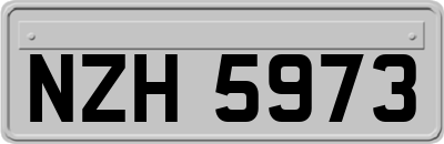 NZH5973