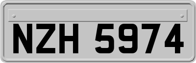 NZH5974