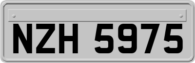 NZH5975