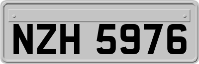 NZH5976