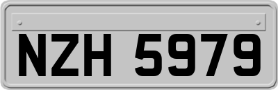 NZH5979