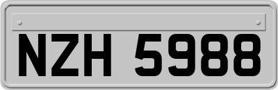 NZH5988