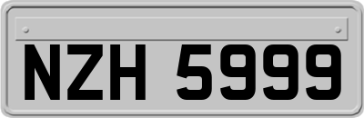 NZH5999