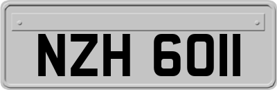 NZH6011