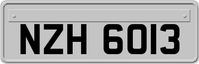 NZH6013