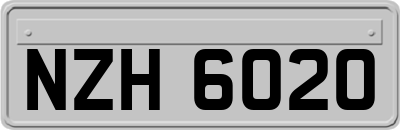 NZH6020