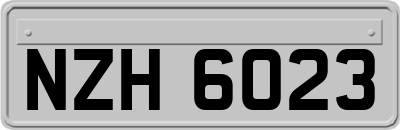 NZH6023