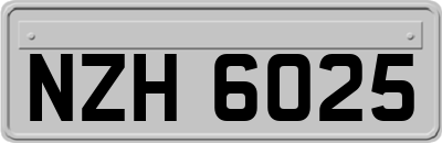NZH6025