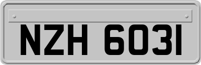 NZH6031