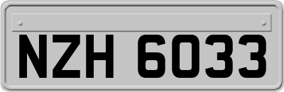 NZH6033