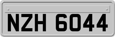 NZH6044