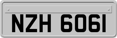 NZH6061