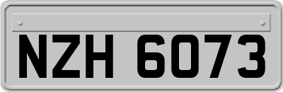 NZH6073