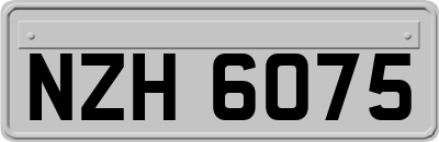 NZH6075