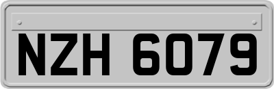 NZH6079