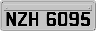 NZH6095