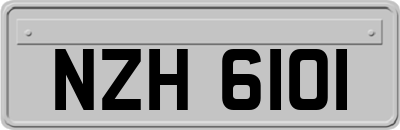 NZH6101
